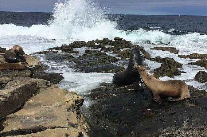 Full Day Private SD Tour from Oceanside - FAQ