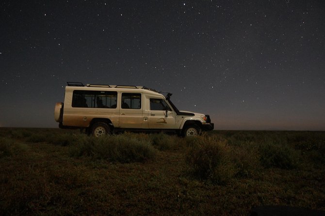 Full-Day Private Serengeti Safari From Mwanza - Exclusions