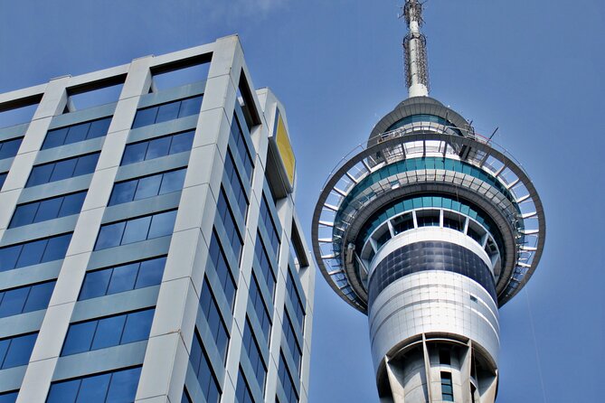Full Day Private Shore Tour in Auckland From Auckland Cruise Port - Tour Duration and Activities