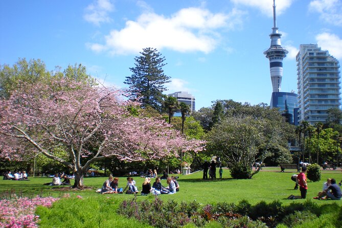 Full Day Private Shore Tour in Auckland From Bay of Islands Port - Highlights of the Tour