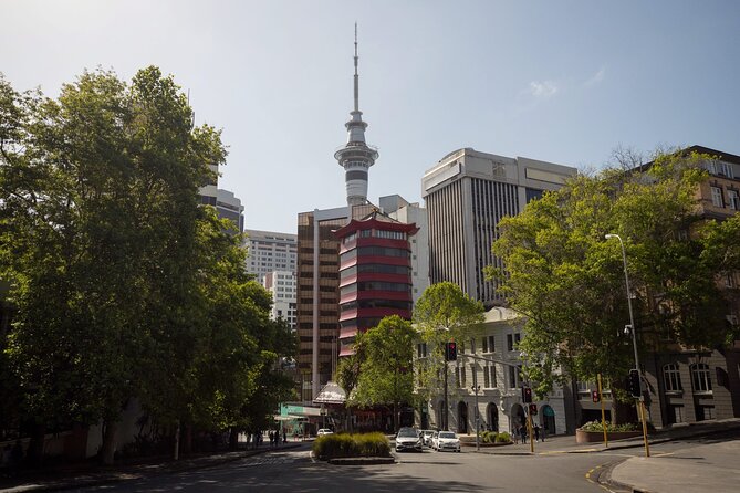 Full Day Private Shore Tour in Auckland From Bay of Islands Port - Additional Information