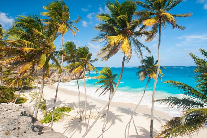 Full Day Private Shore Tour in Bridgetown From Bridgetown Port - Dining and Shopping Opportunities
