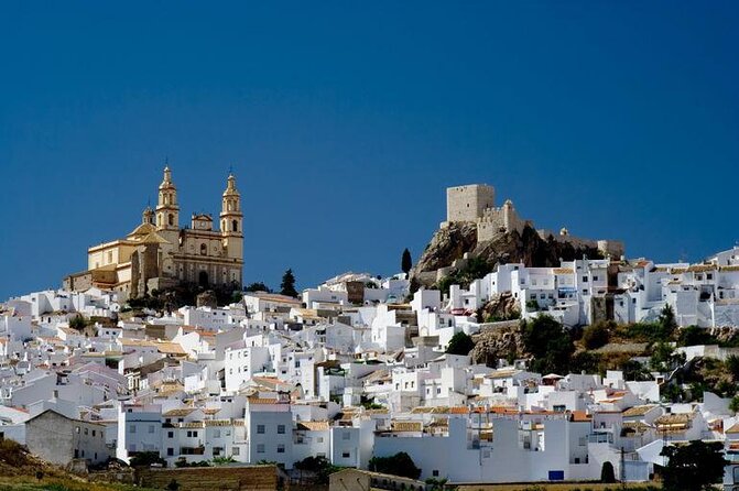 Full Day Private Shore Tour in Cadiz From Cadiz Cruise Port - Key Points