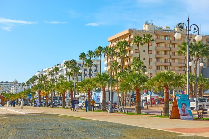 Full Day Private Shore Tour in Larnaca From Ayia Napa Cruise Port - Expectations