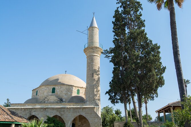 Full Day Private Shore Tour in Larnaca From Ayia Napa Cruise Port - Flexible Scheduling