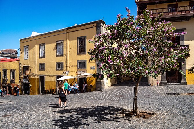 Full Day Private Shore Tour in Las Palmas From Gran Canaria Port - Dining and Shopping