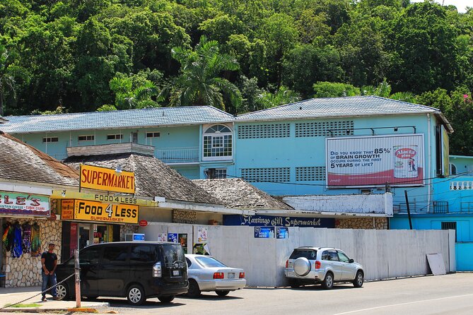 Full Day Private Shore Tour in Montego Bay From Falmouth Port - Tour Inclusions