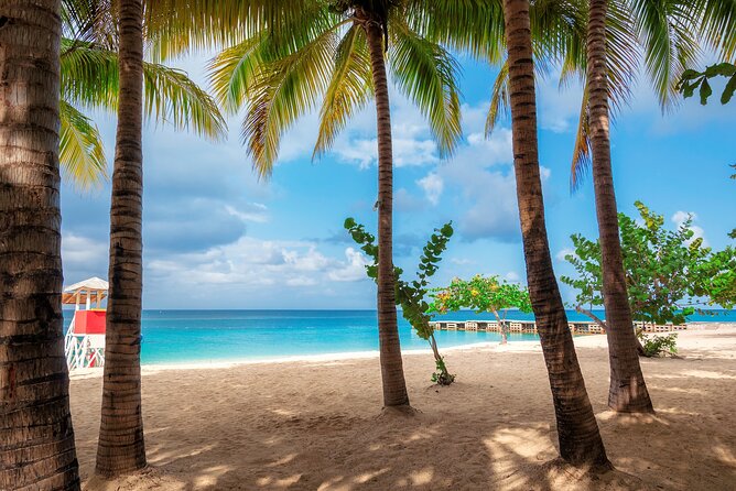 Full Day Private Shore Tour in Montego Bay From Ocho Rios Port - Transportation Details