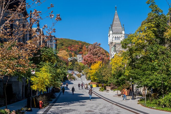 Full Day Private Shore Tour in Montreal From Montreal Cruise Port - Local Tour Guide