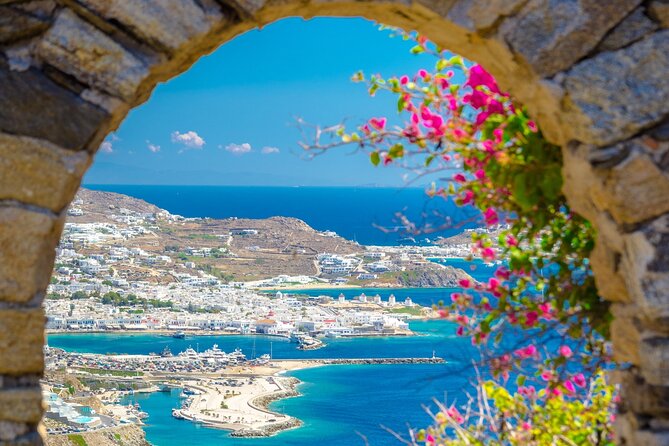 Full Day Private Shore Tour in Mykonos From Mykonos Cruise Port - Inclusions