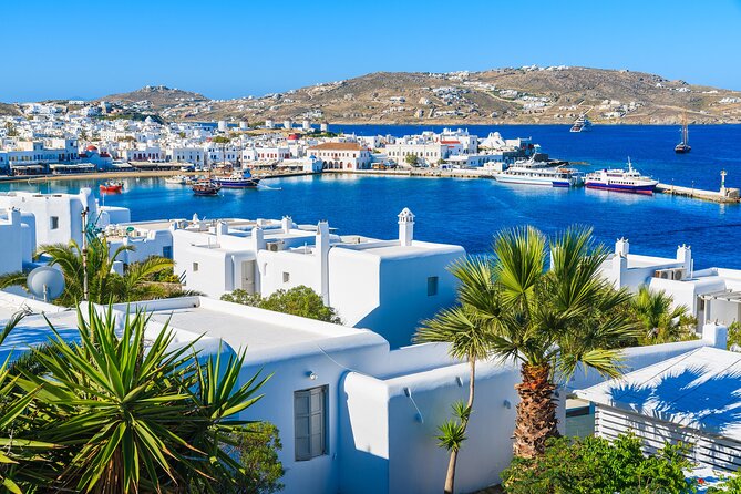 Full Day Private Shore Tour in Mykonos From Mykonos Cruise Port - Booking Information