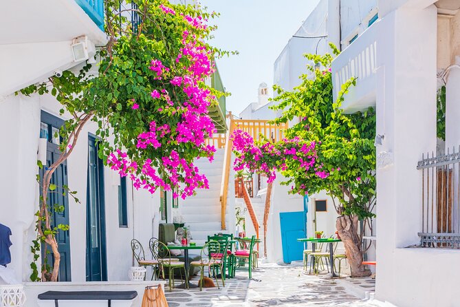 Full Day Private Shore Tour in Mykonos From Mykonos Cruise Port - Shopping and Dining