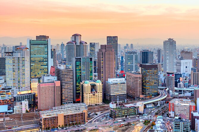 Full Day Private Shore Tour in Osaka From Osaka Cruise Port - Additional Information