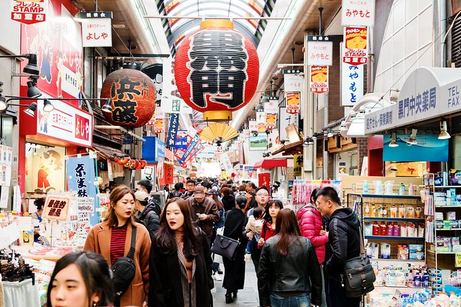 Full Day Private Shore Tour in Osaka From Osaka Cruise Port - Highlights of the Tour
