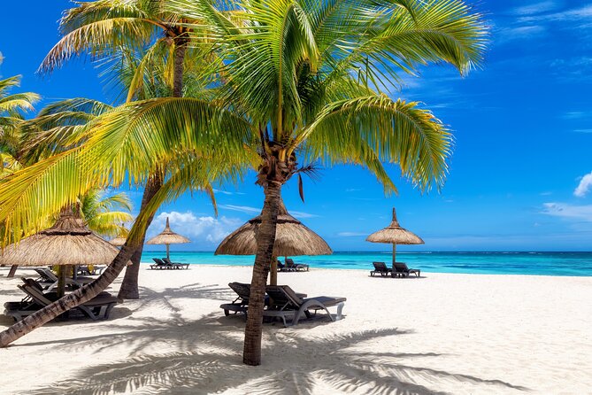 Full Day Private Shore Tour in Punta Cana From Cap Cana Port - About Your Stay