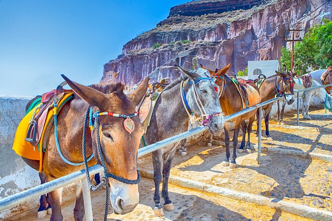 Full Day Private Shore Tour in Santorini From Santorini Port - Tour Recap