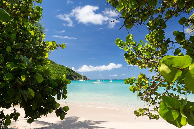 Full Day Private Shore Tour in St Maarten From Philipsburg Port - Booking Information