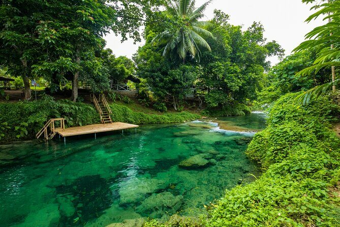 Full Day Private Shore Tour: Taste, Sea & Swim in Port Vila - Key Points