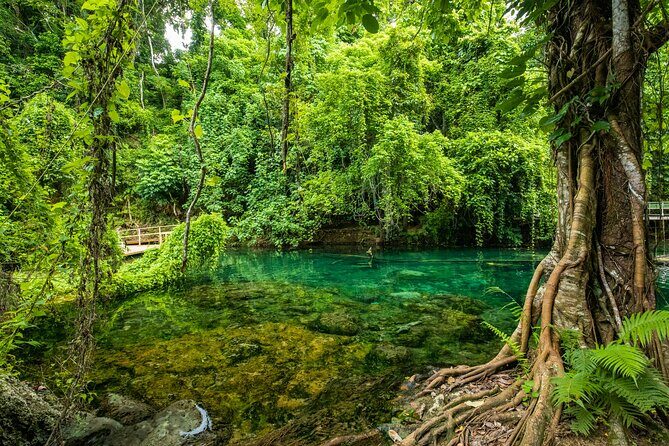 Full Day Private Shore Tour: Taste, Sea & Swim in Port Vila - Who Will Love This Tour?