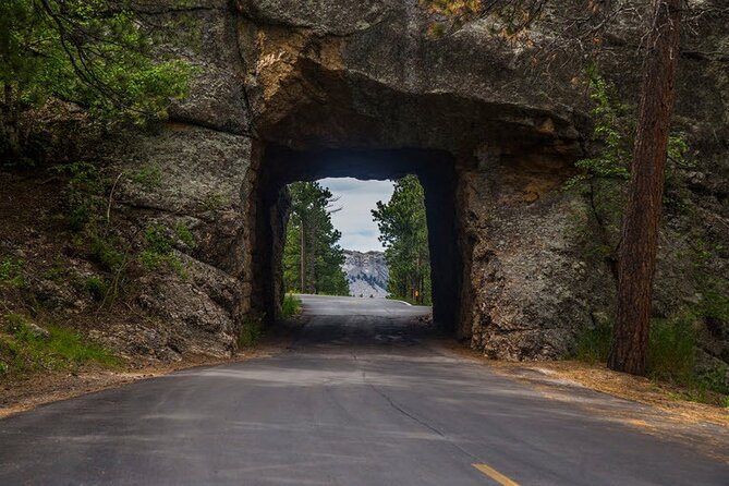 Full-Day Private Sightseeing Tour in South Dakota - Availability