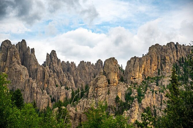 Full-Day Private Sightseeing Tour in South Dakota - Customer Reviews