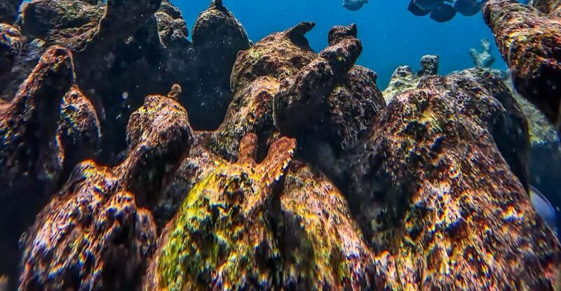 Full-Day Private Snorkel Tour in Tulum and Sian Kaan - Itinerary Details