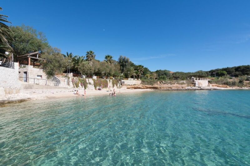 Full-Day Private Speed Boat Tour to Hvar & Brač - Sightseeing and Walking in Milna
