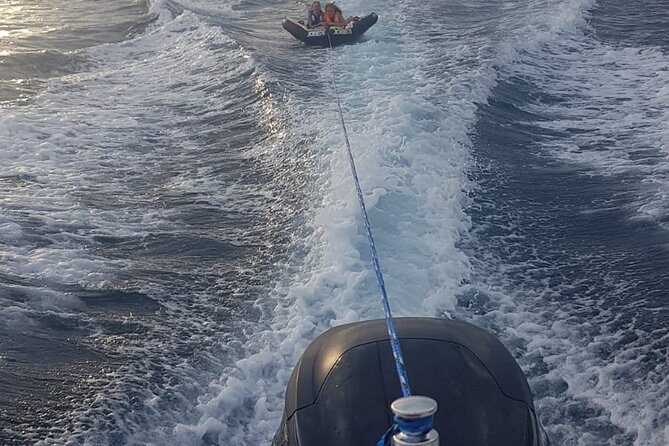 Full- Day Private Speedboat Tour in Dubrovnik on Elaphiti Islands - Exploring the Elaphiti Islands