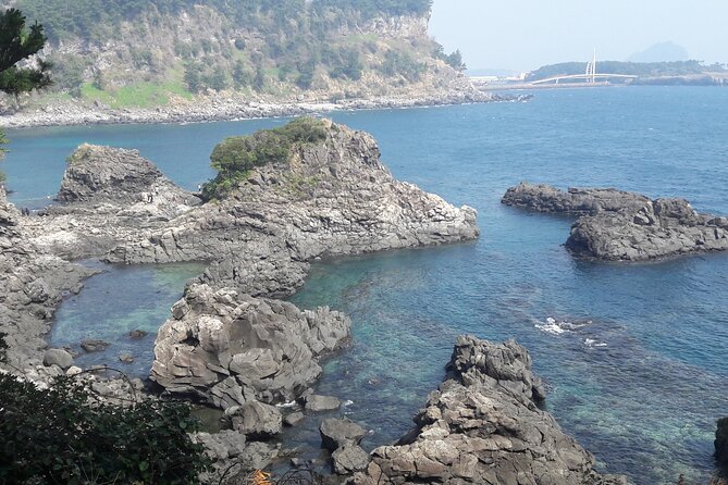 Full-Day Private Taxi Tour South of Jeju Island - Driver and Communication