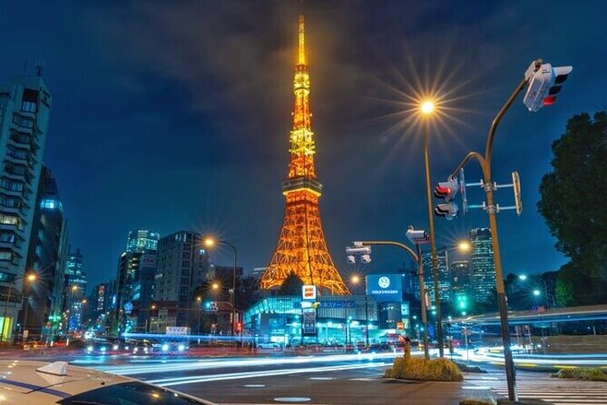 Full Day Private Tokyo Sightseeing Tour - Accessibility and Participation
