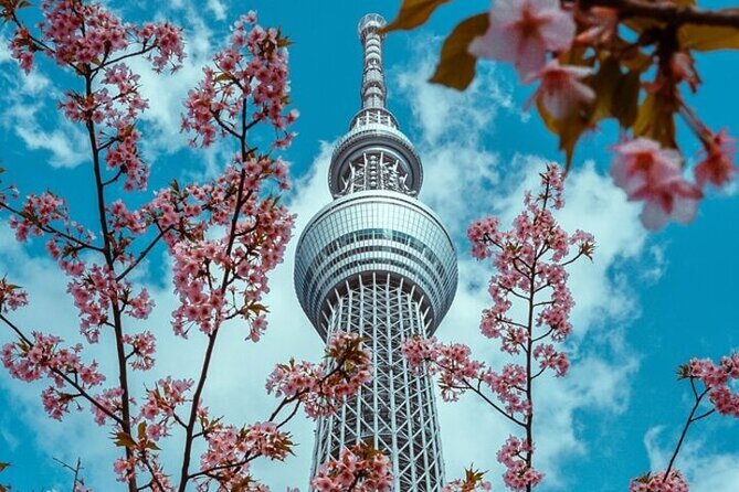 Full Day Private Tokyo Sightseeing Tour - Making the Most of Your Private Tour