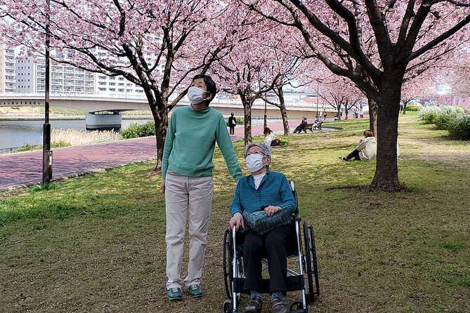 Full Day Private Tokyo Tour for Wheelchair Users - Meeting and Pickup
