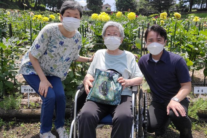 Full Day Private Tokyo Tour for Wheelchair Users - Tour Experience