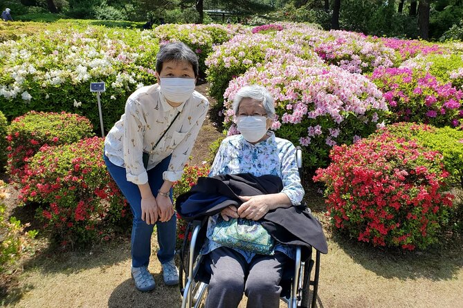 Full Day Private Tokyo Tour for Wheelchair Users - Accessibility