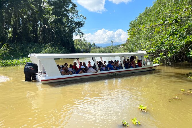 Full Day Private Tortuguero Canal and Zipline Adventure in Limon - Key Points