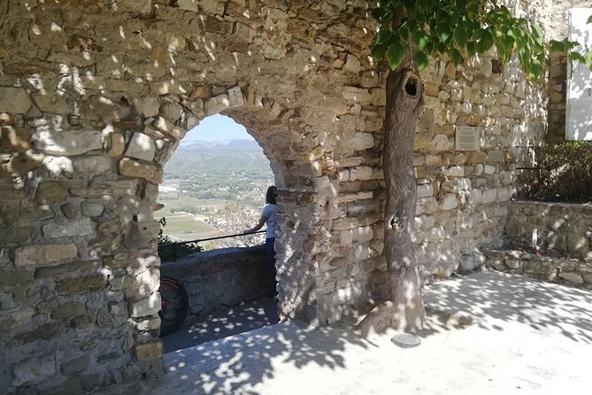 Full-Day Private Toulon Shore Excursion: Aix-en-Provence, Cassis, Calanques - Exceptional Customer Reviews