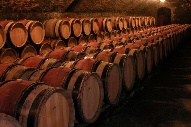 Full Day Private Tour 10 Premiers & Grands Crus, The Best of Burgundy - Wine Tasting Experiences
