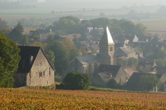 Full Day Private Tour 10 Premiers & Grands Crus, The Best of Burgundy - Transportation and Accessibility