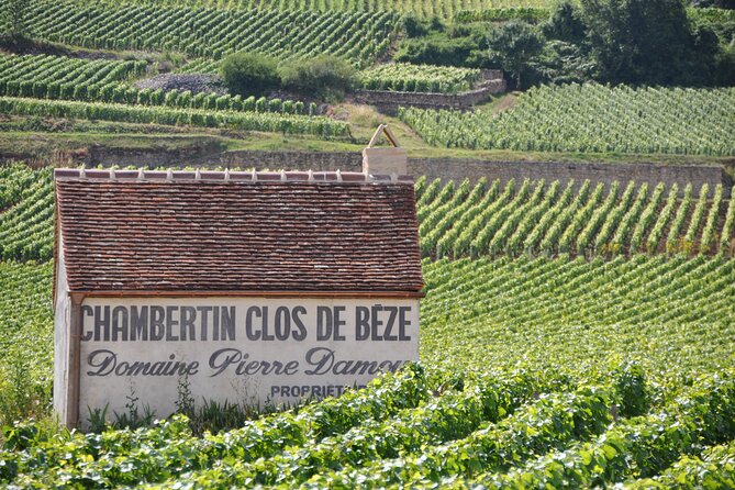 Full-Day Private Tour, 6 Premier and Grand Cru Wines, The Best of Burgundy - Customer Reviews