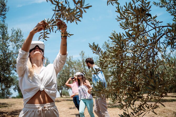 Full-Day Private Tour Corinth and Olive Oil Tasting From Athens - Tour Operator and Ratings