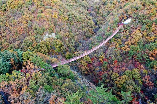 Full Day Private Tour DMZ (The 3rd Tunnel) & Suspension Bridge - Cancellation and Reservation Policy