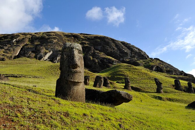 Full Day Private Tour: Factory of the Moai the Stone Giants - Guest Feedback and Reviews