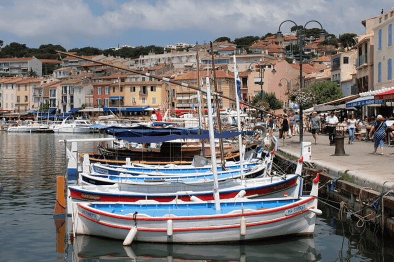 Full Day Private Tour From Arles or the Alpilles - Key Points