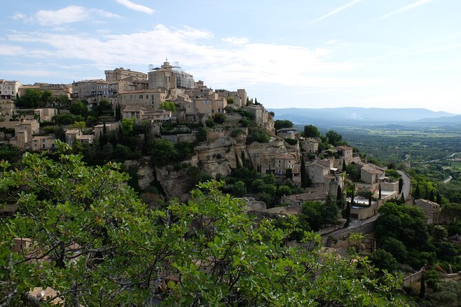 Full Day Private Tour From Avignon - About the Tour Provider