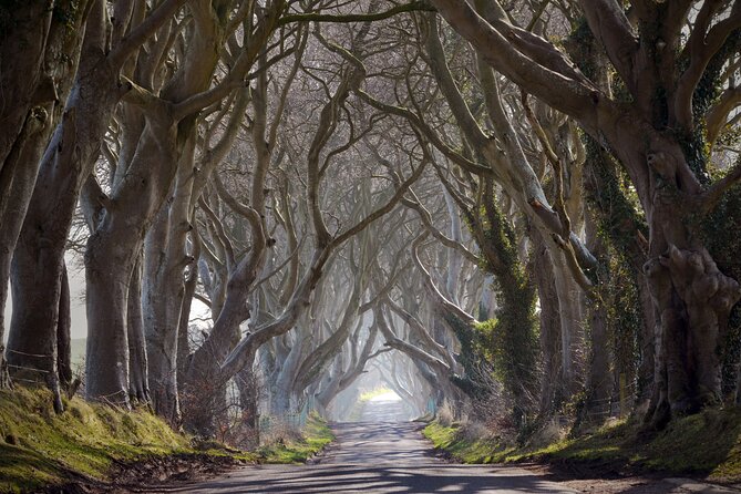 Full-Day Private Tour From Game of Thrones Odyssey - Highlights of the Tour
