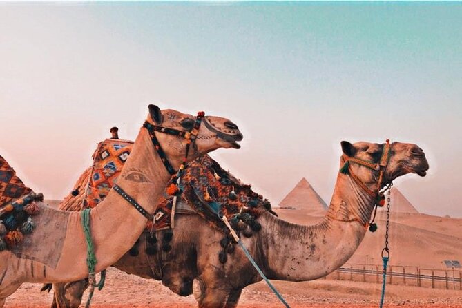 Full-Day Private Tour Giza Pyramids, Saqqara and Dahshur - Meeting and Pickup Details