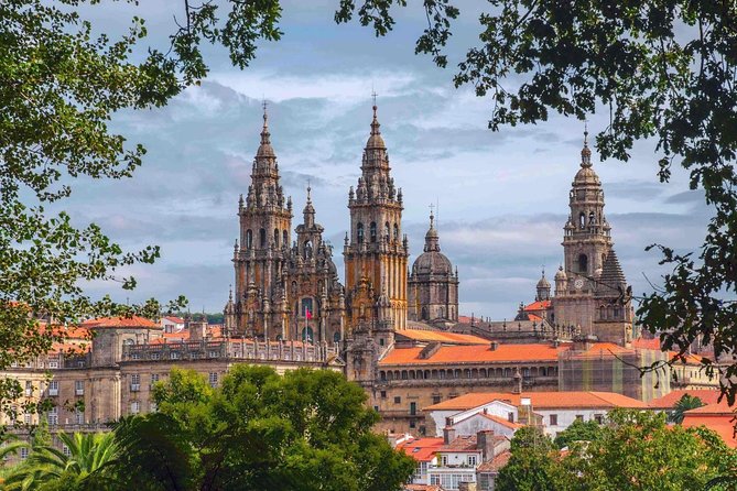 Full-Day Private Tour: Historic Santiago De Compostela From Lisbon - Feedback and Reviews