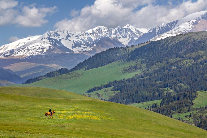 Full Day Private Tour in Assy Plateau - Key Points