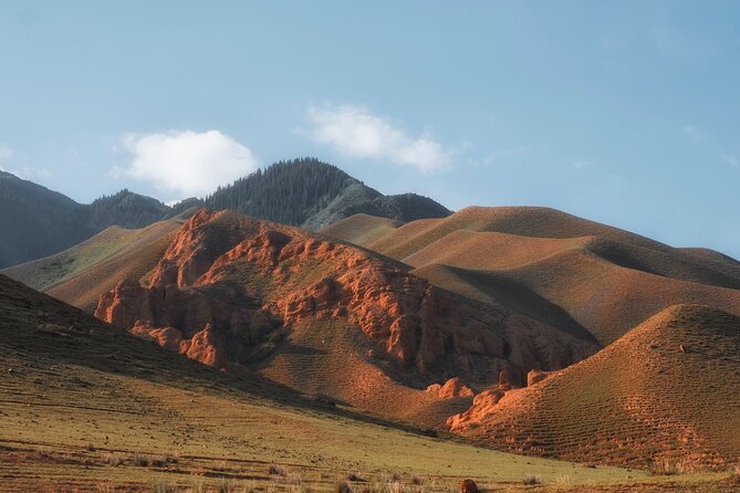 Full Day Private Tour in Assy Plateau - Cancellation Policy