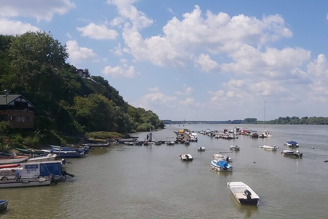 Full-Day Private Tour in Belgrade City - Customer Reviews